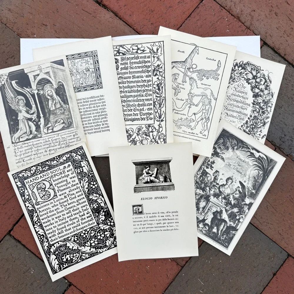 10 Gutenberg Museum Mainz Postcards Photo Bildkarten Art Unused Vtg NOS German